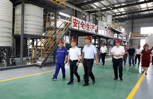 湖南永澤冶金與永晟福科技新廠竣工投產(chǎn)，并深化教育咨詢服務(wù)，開啟產(chǎn)業(yè)與人才協(xié)同發(fā)展新篇章